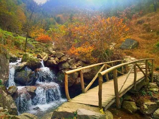 旋转的圆球